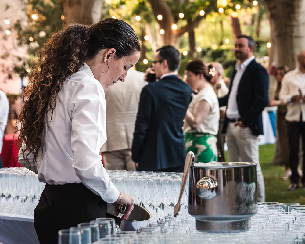 Kellnerin-Kellnerin-Hochzeitskellnerin-Hochzeit